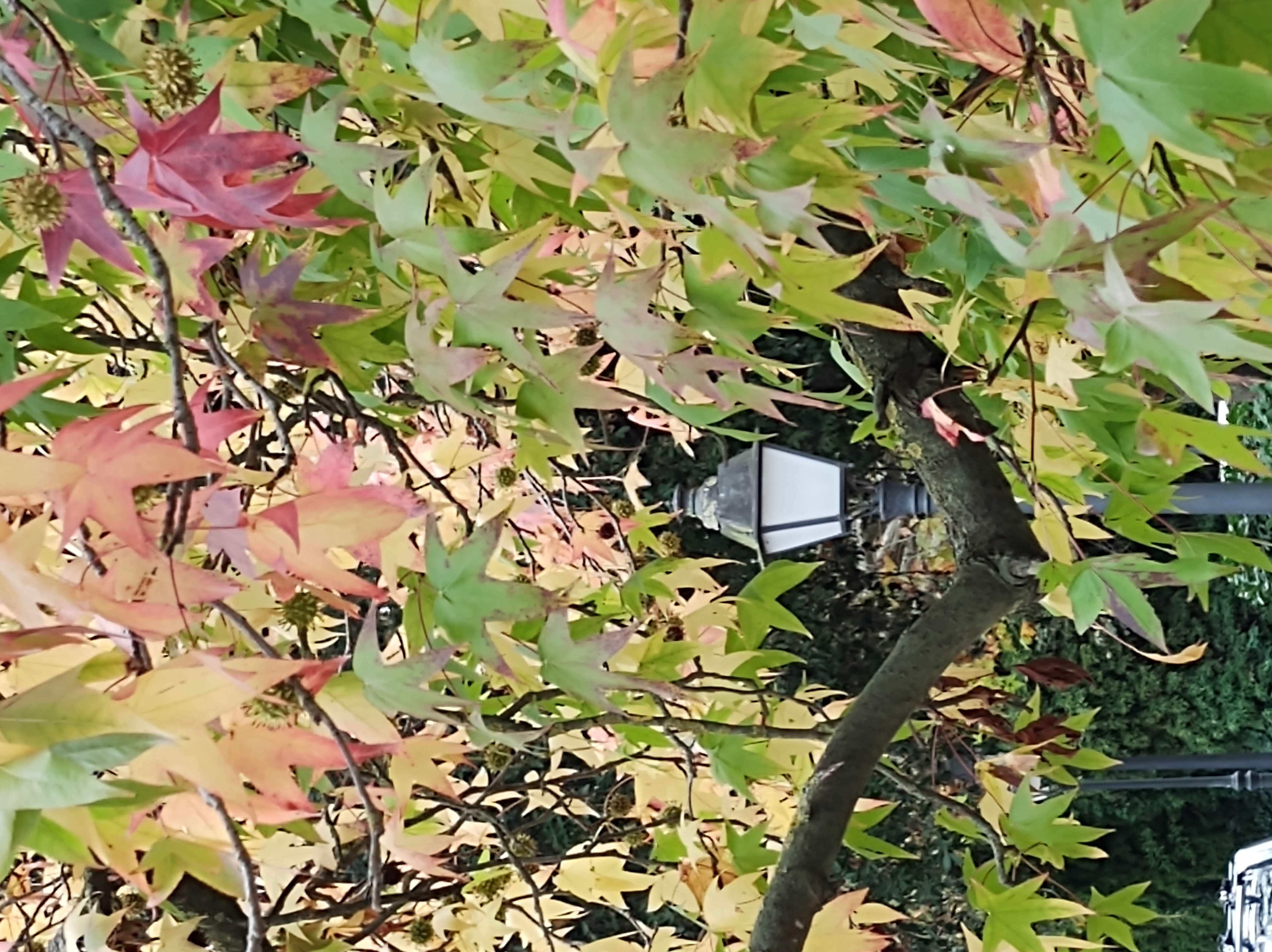 No s'ha trobat l'arxiu